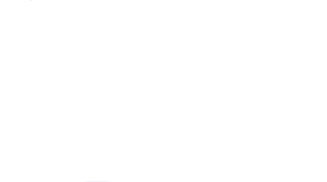 Trusted Choice Logo - We serve you first